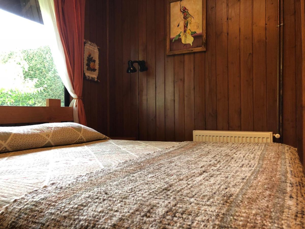 Hostal El Nogal プコン エクステリア 写真